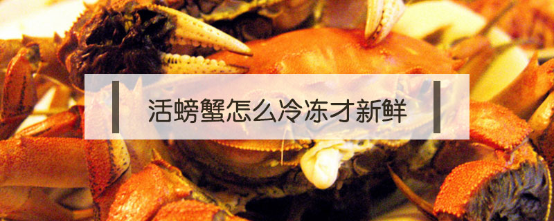 活螃蟹怎么冷凍才新鮮