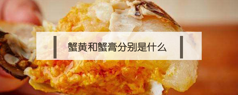 蟹黃和蟹膏分別是什么