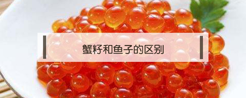 蟹籽和魚子的區別
