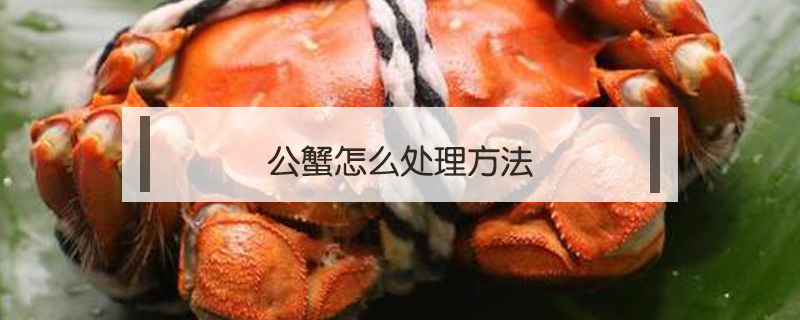 公蟹怎么處理方法