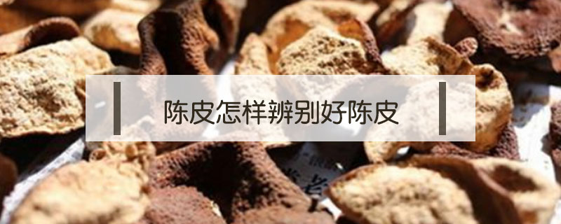 陳皮怎樣辨別好陳皮