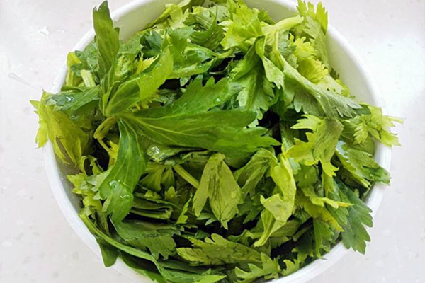 芹菜葉不焯水能吃嗎，新鮮芹菜葉怎么做好吃