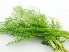 茴香菜可以曬干嗎，茴香為什么晚上不能吃