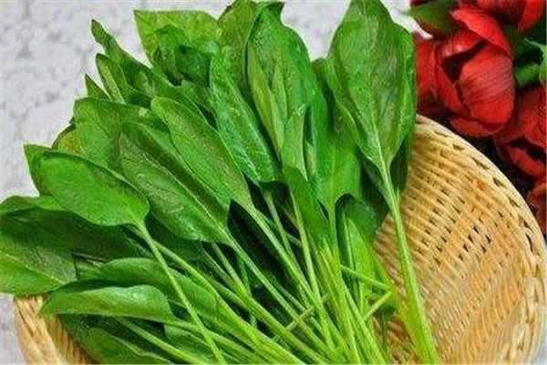 菠菜煮久了能吃嗎，菠菜和蝦能一起煮嗎