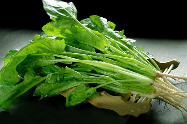 為什么不能經常吃菠菜，什么時候不能吃菠菜