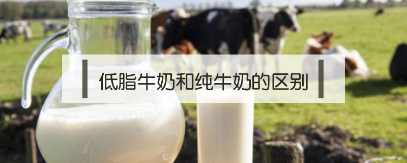 低脂牛奶和純牛奶的區別