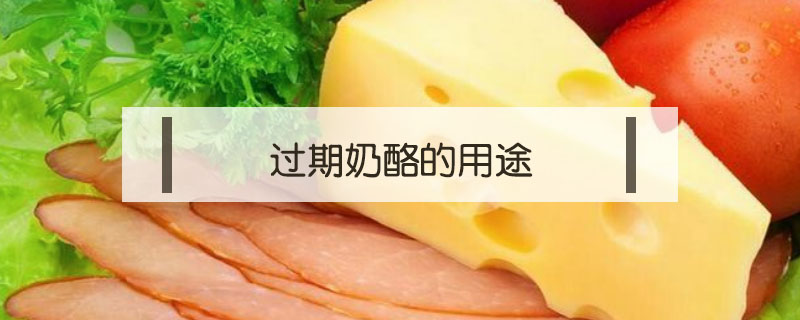 過期奶酪的用途