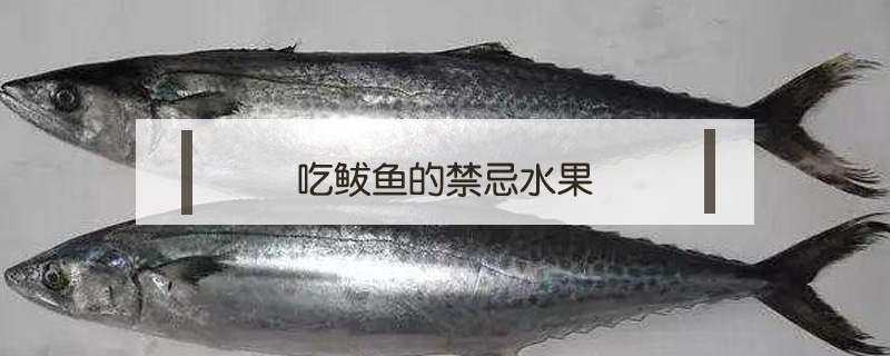 吃鲅魚的禁忌水果