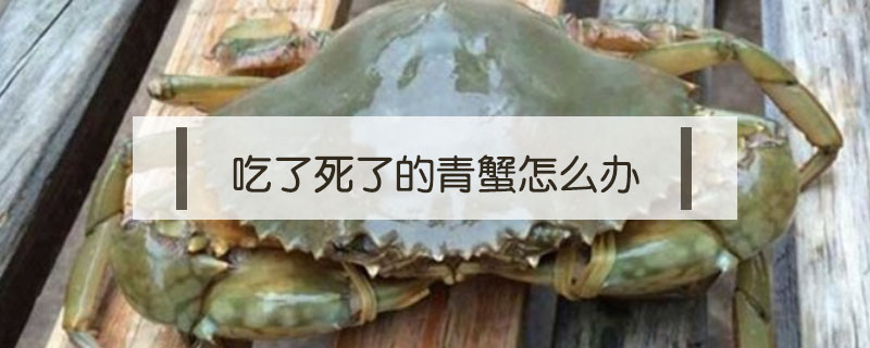 吃了死了的青蟹怎么辦