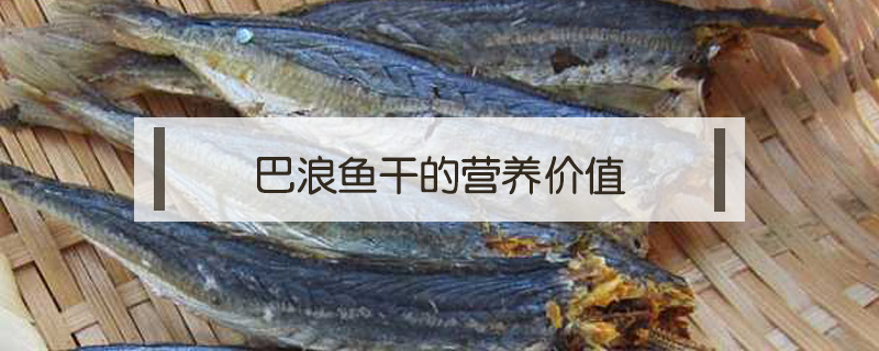 巴浪魚干的營養價值