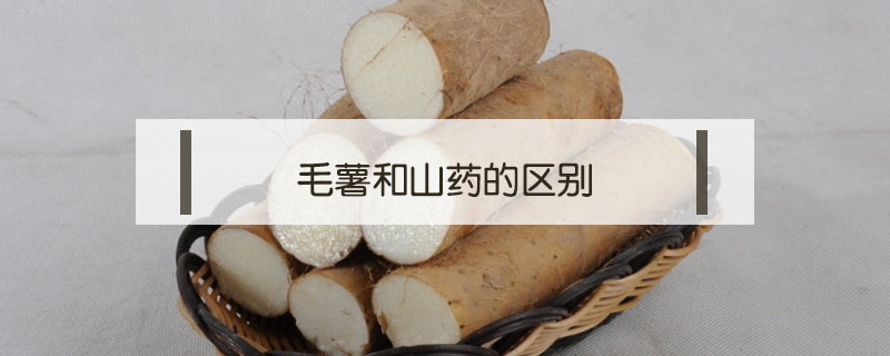 毛薯和山藥的區(qū)別