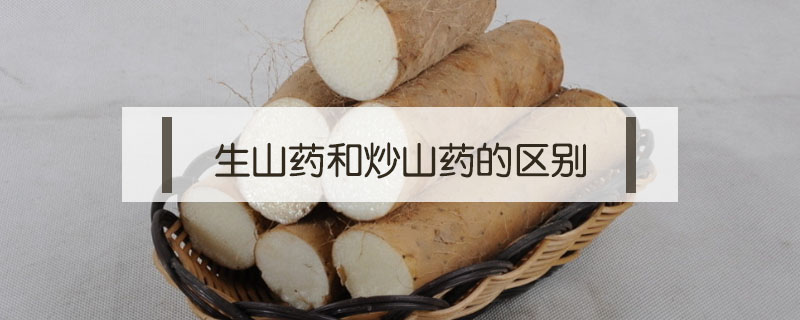 生山藥和炒山藥的區(qū)別