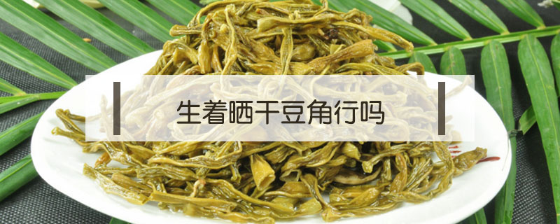 生著曬干豆角行嗎