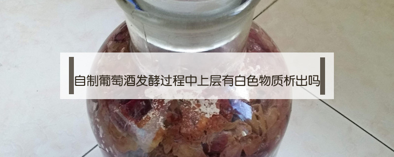 自制葡萄酒發酵過程中上層有白色物質析出嗎