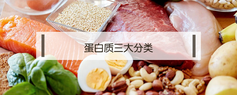 蛋白質三大分類