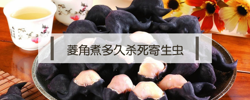 菱角煮多久殺死寄生蟲