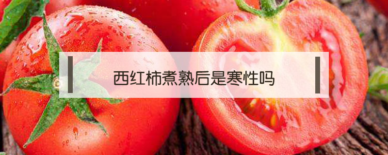 西紅柿煮熟后是寒性嗎