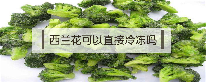 西蘭花可以直接冷凍嗎