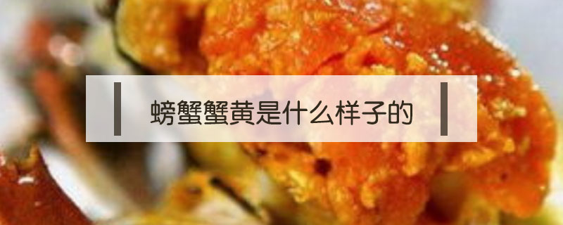 螃蟹蟹黃是什么樣子的
