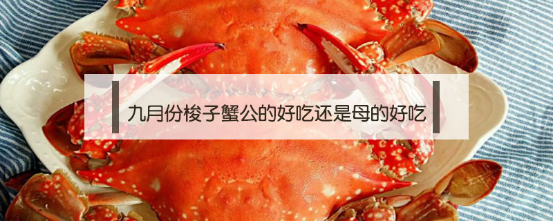 九月份梭子蟹公的好吃還是母的好吃