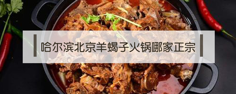 哈爾濱北京羊蝎子火鍋哪家正宗