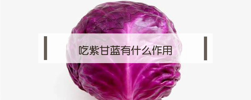 吃紫甘藍(lán)有什么作用