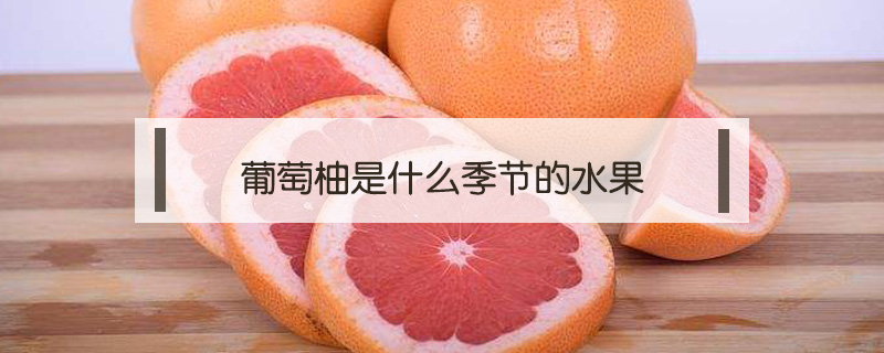 葡萄柚是什么季節(jié)的水果