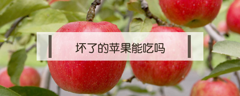 壞了的蘋果能吃嗎