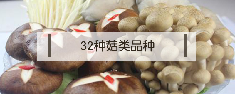 32種菇類品種