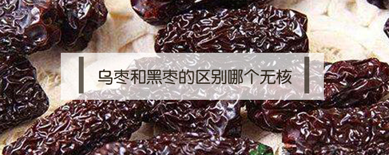 烏棗和黑棗的區(qū)別哪個無核