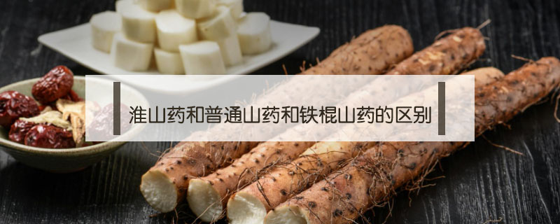 淮山藥和普通山藥和鐵棍山藥的區別