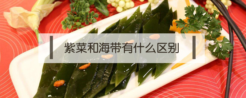 紫菜和海帶有什么區(qū)別