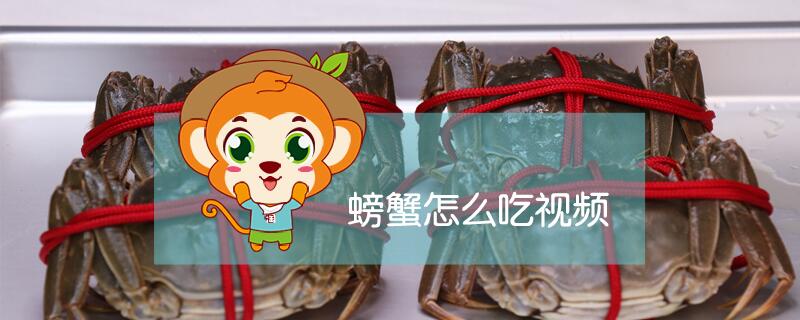 螃蟹怎么吃視頻