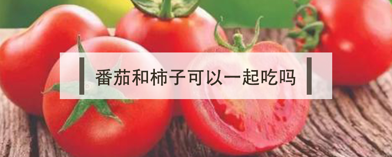 番茄和柿子可以一起吃嗎