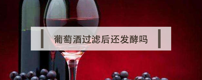 葡萄酒過濾后還發酵嗎