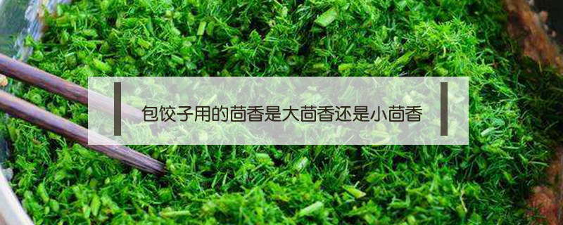 包餃子用的茴香是大茴香還是小茴香