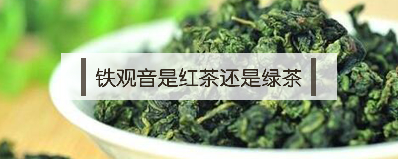 鐵觀音是紅茶還是綠茶