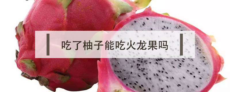 吃了柚子能吃火龍果嗎