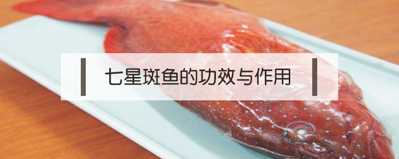 七星斑魚的營養價值