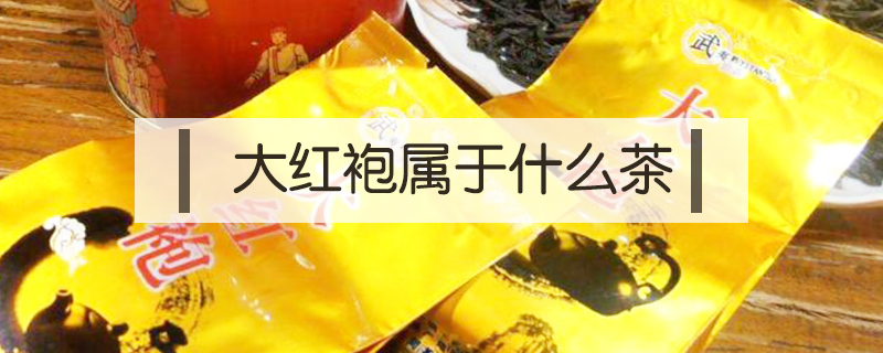 大紅袍屬于什么茶