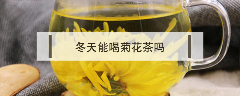 冬天能喝菊花茶嗎