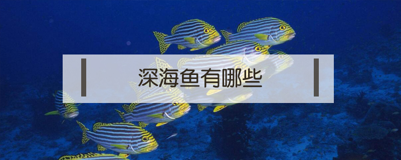 深海魚有哪些