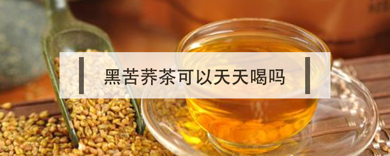 黑苦蕎茶可以天天喝嗎