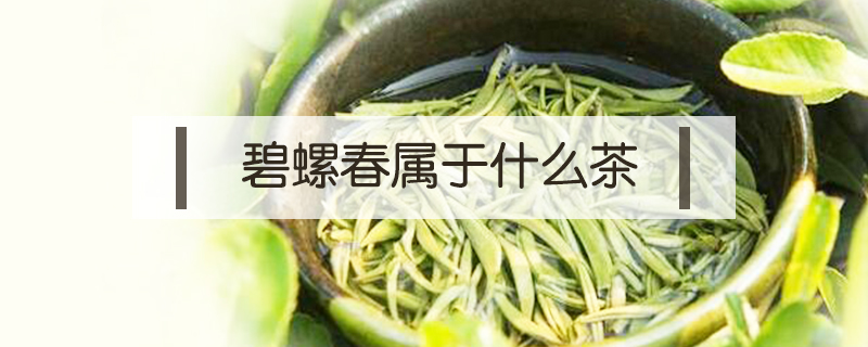 碧螺春屬于什么茶