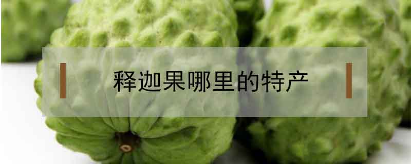 釋迦果哪里的特產