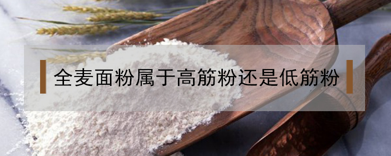 全麥面粉屬于高筋粉還是低筋粉