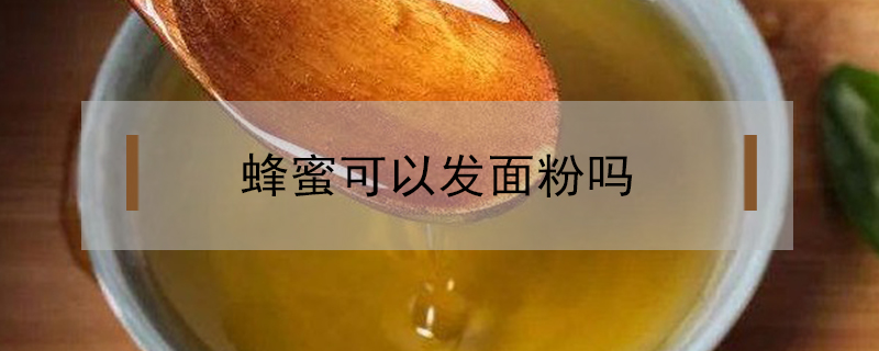 蜂蜜可以發(fā)面粉嗎