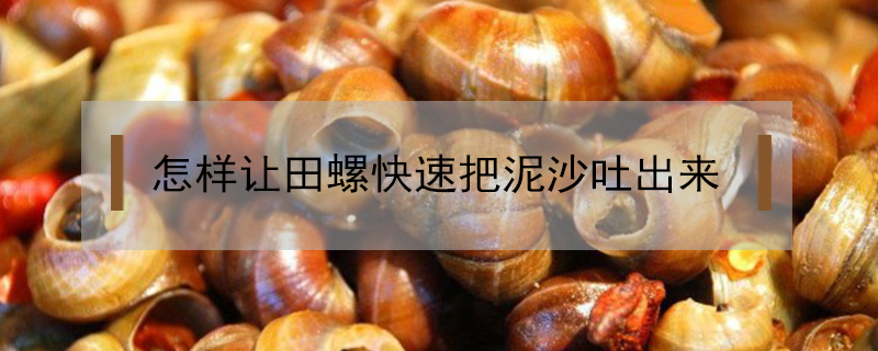 怎樣讓田螺快速把泥沙吐出來