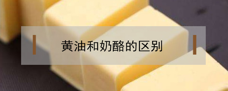 黃油和奶酪的區(qū)別