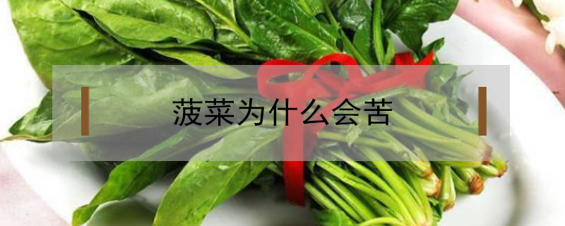 菠菜為什么會(huì)苦